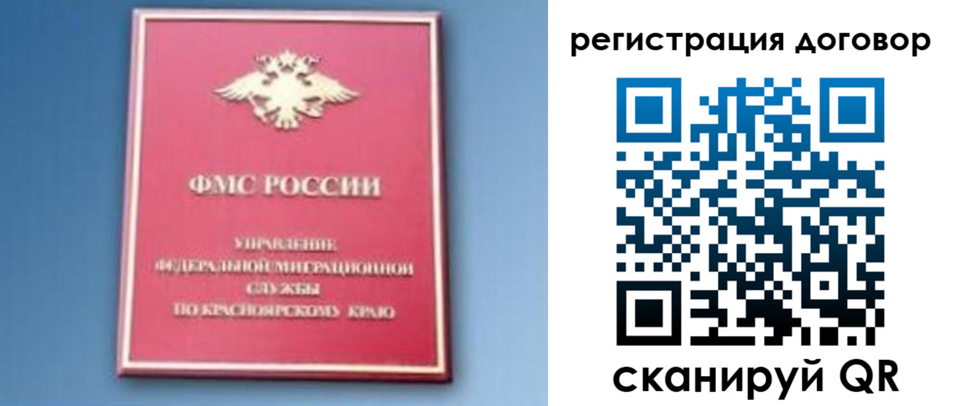прописка для школы в Вольске
